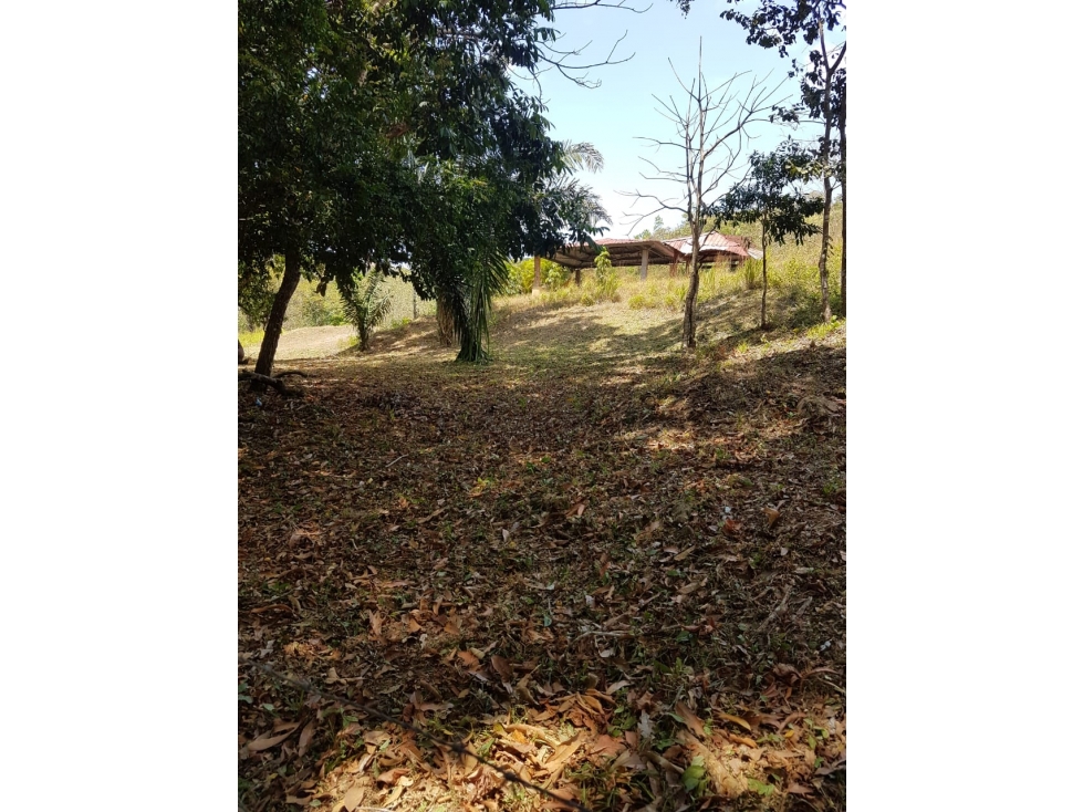 Finca en La Negrita, Penonomé - 6