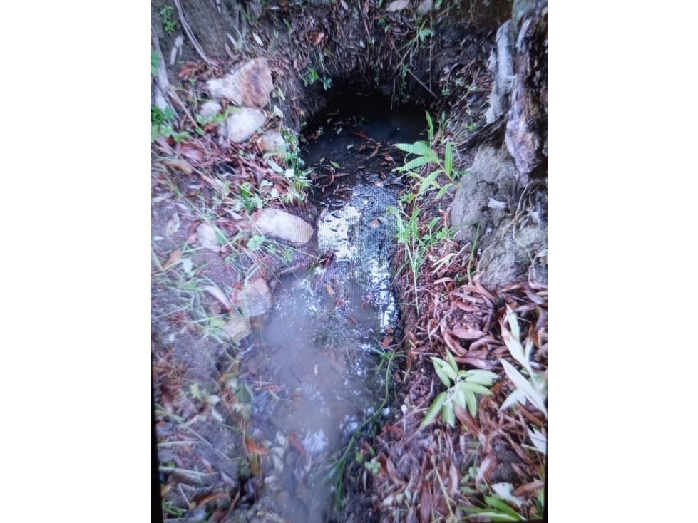 Venta de terreno de 25 HAS en El Harino, La Pintada - 4
