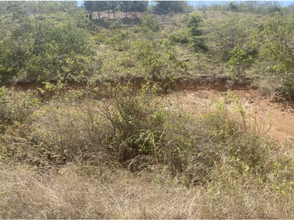 Venta de lotes en San Carlos, Los Llanitos — foto 6