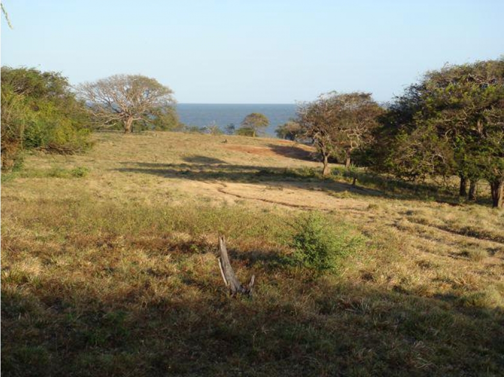 Venta: 3 lotes adyacentes con frente de playa en Las Tablas - 3