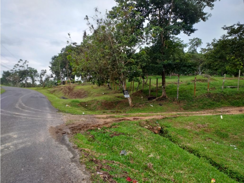 Venta: Finca de 6 hectareas en Tambo de Penonomé - 4