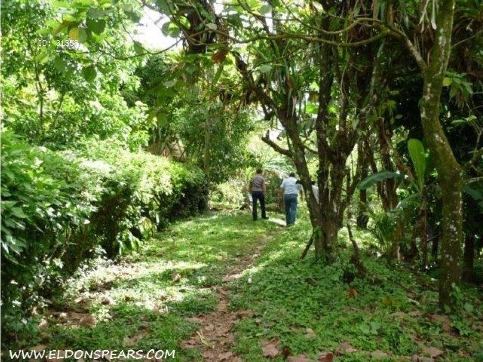 Venta: Terreno con vista al mar en Portobelo Hills - 2