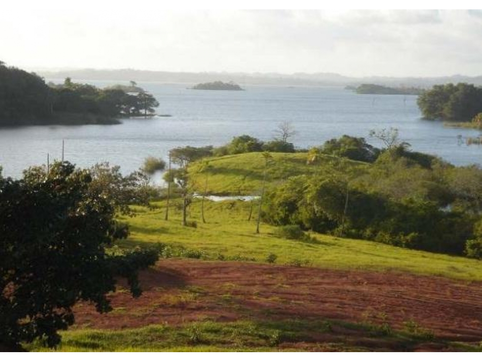Venta: Finca de 100 Hectáreas frente al Lago Gatún - 6