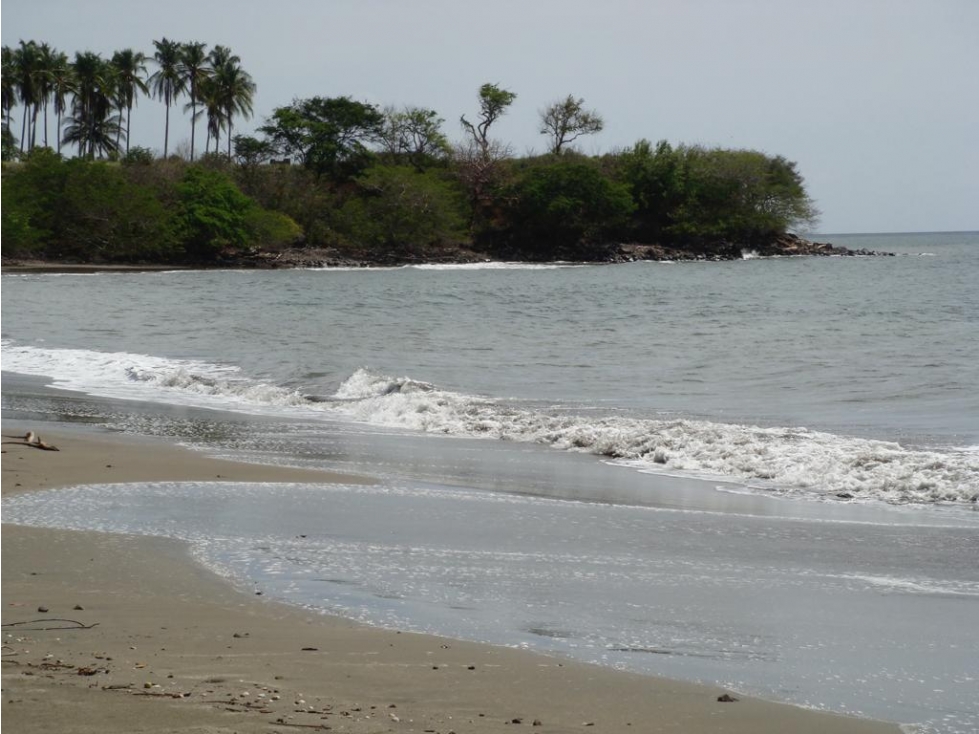 Venta: 3 lotes adyacentes con frente de playa en Las Tablas - 4