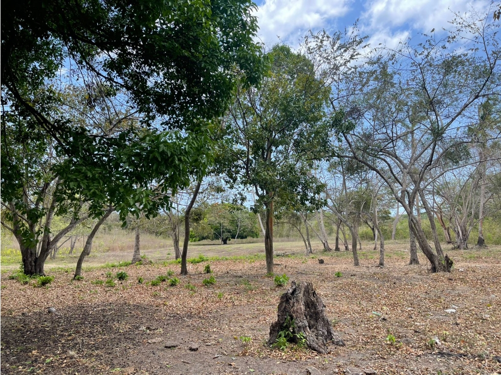 Venta: Terrenos en Río Hato - 3