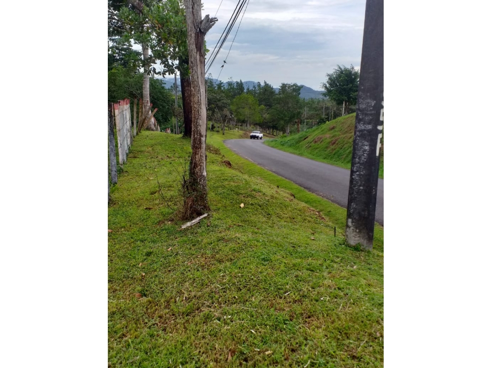 Venta: Finca de 6 hectareas en Tambo de Penonomé - 5