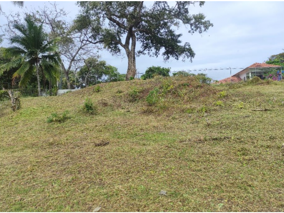 Venta de Terreno en Panamá Oeste, Nueva Gorgona — foto 3