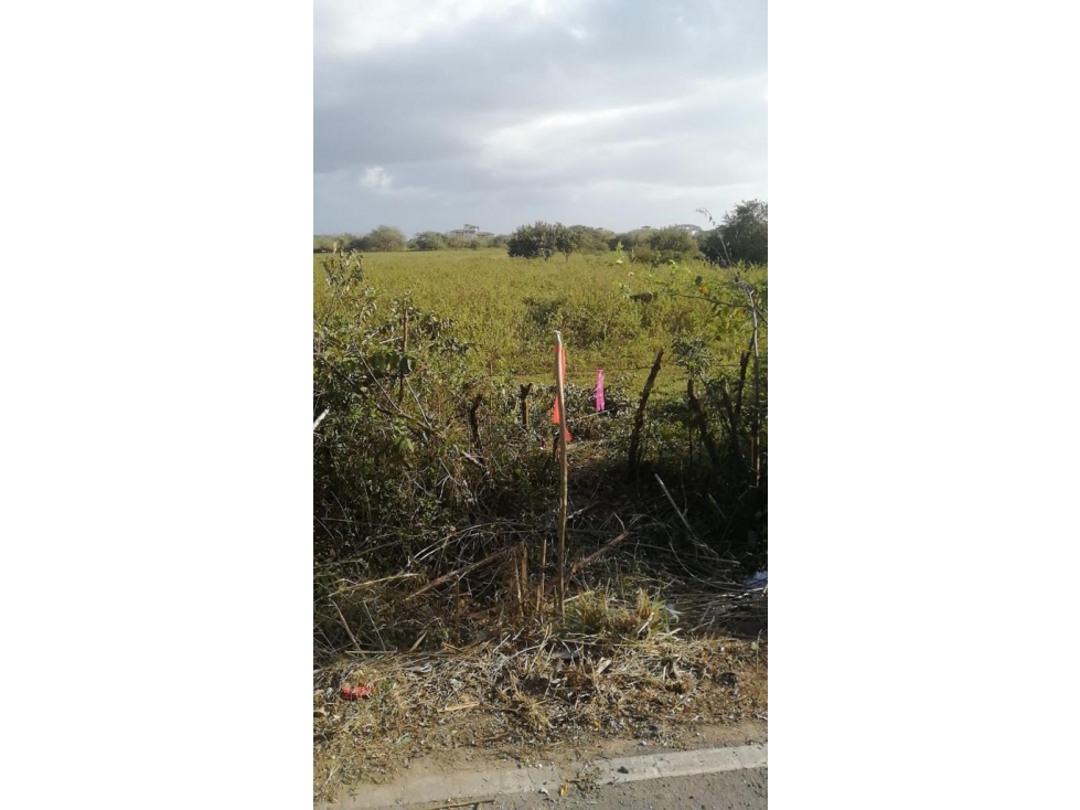 Venta de Terreno en Buenaventura - 3