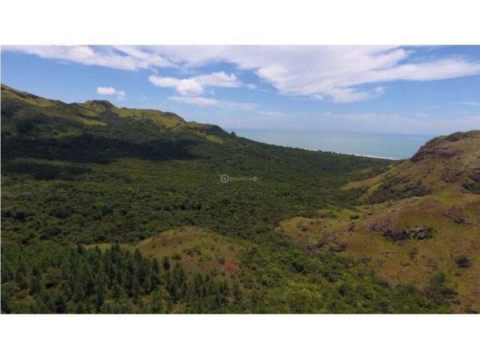 Venta 50.5 Hectáreas en Playa Caracol, Chame — foto 4