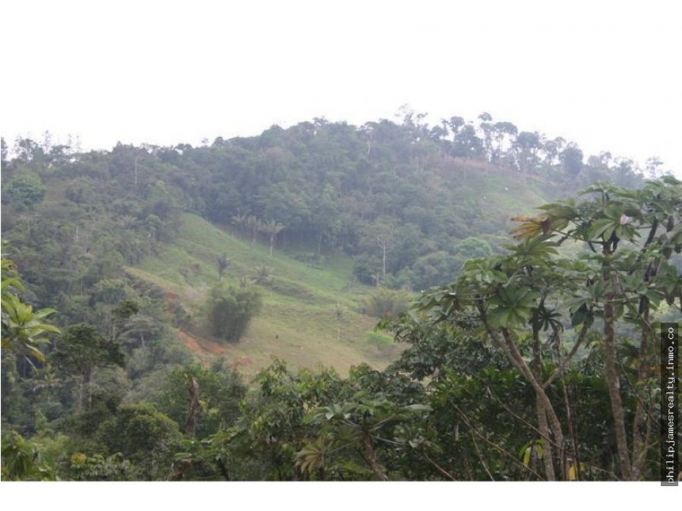 Venta: Finca de 525,000 m2 en Cerro Azul - 6