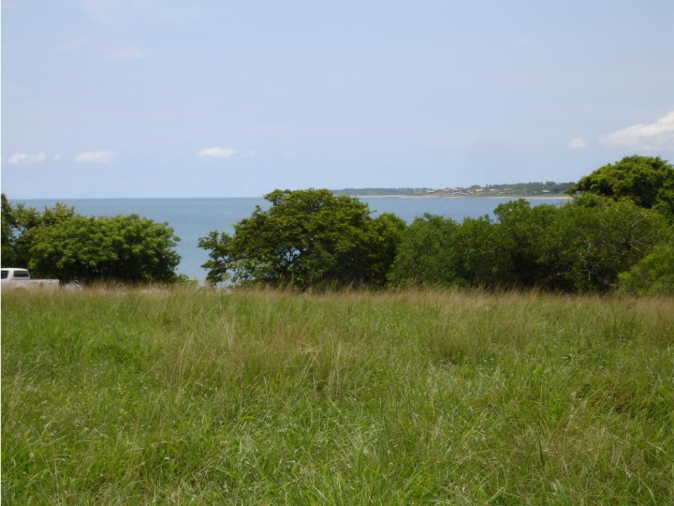Venta: 3 lotes adyacentes con frente de playa en Las Tablas - 5