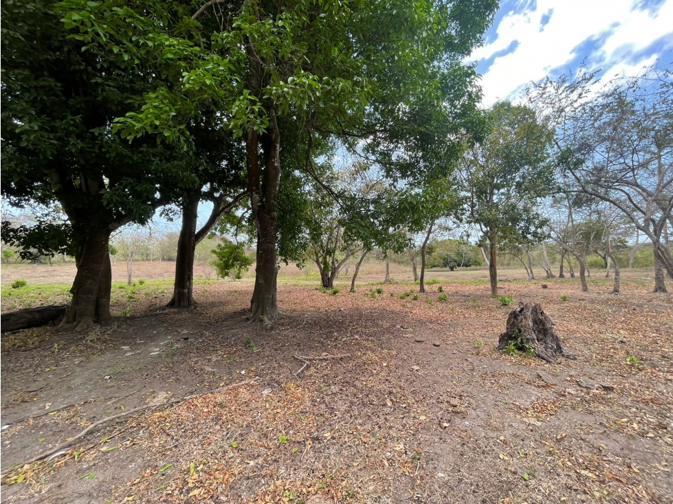 Venta: Terrenos en Río Hato - 1