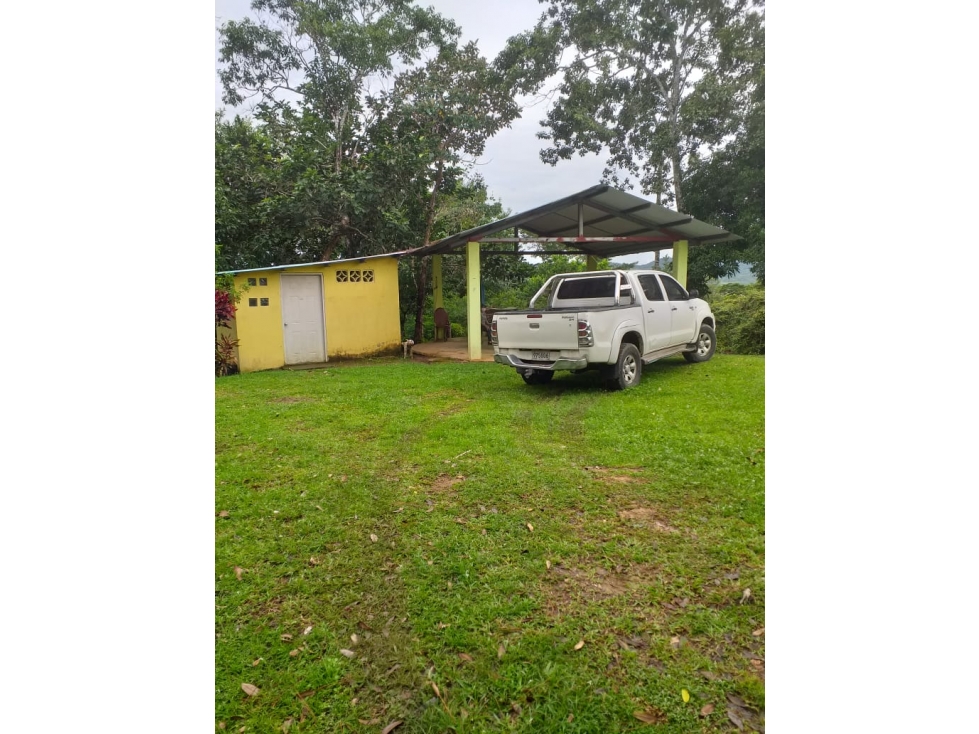 Venta: Finca de 6 hectareas en Tambo de Penonomé - 6