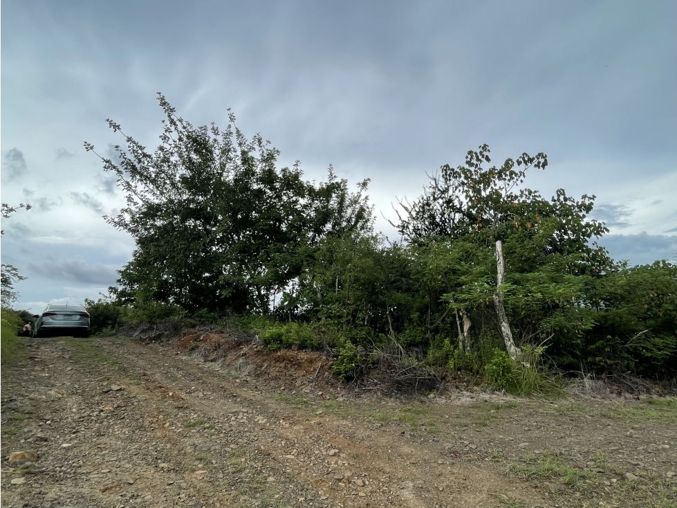 Venta: Finca de 22hcts en Cerro Colorado de La Pintada - 6