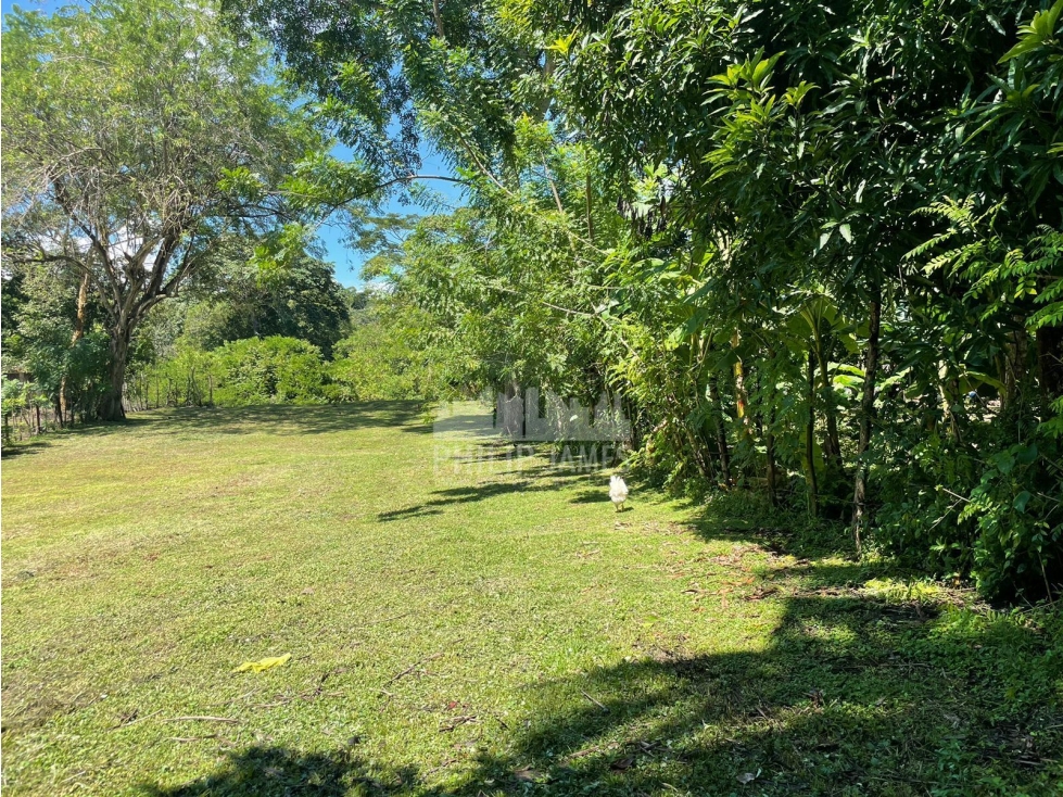 Venta: Terreno en Farallón , Coclé - 6