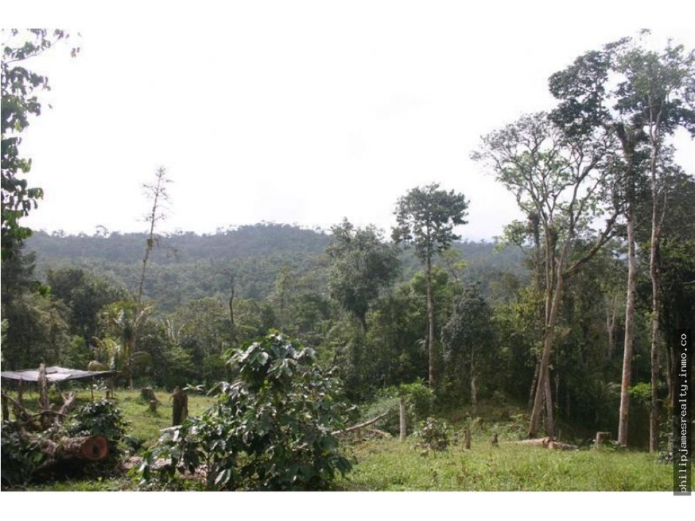 Venta: Finca de 525,000 m2 en Cerro Azul - 4