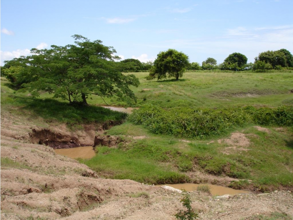 Venta: 3 lotes adyacentes con frente de playa en Las Tablas - 6