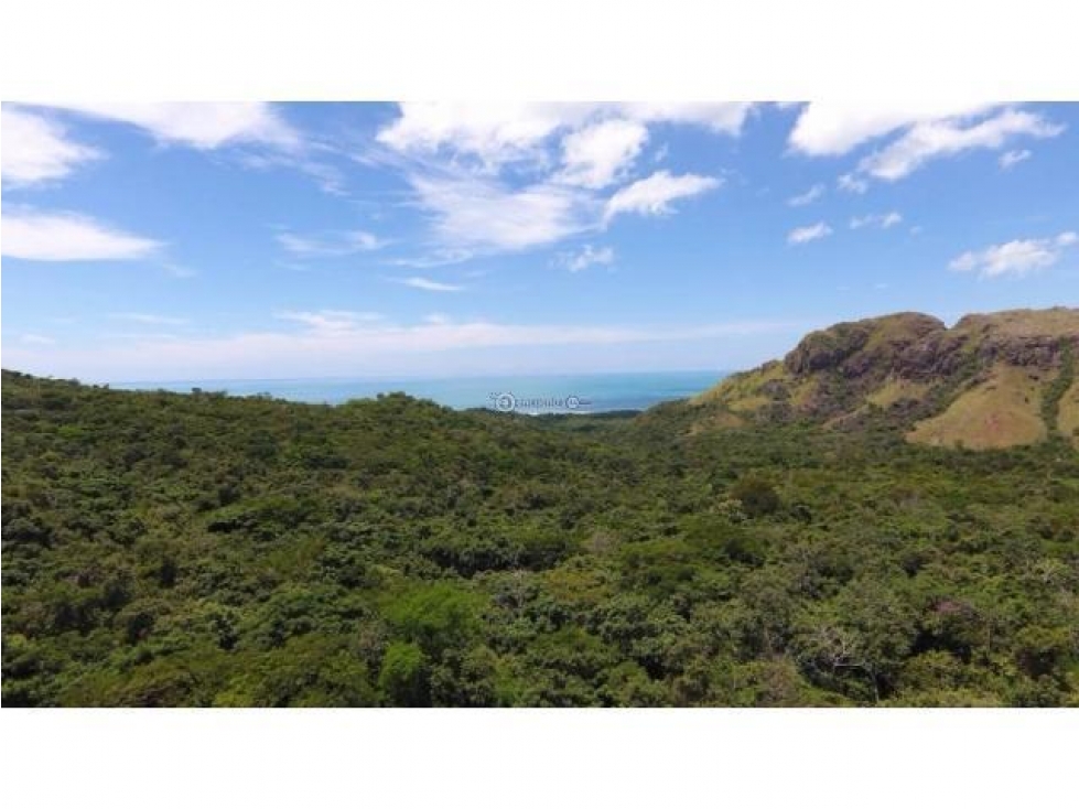 Venta 50.5 Hectáreas en Playa Caracol, Chame — foto 5