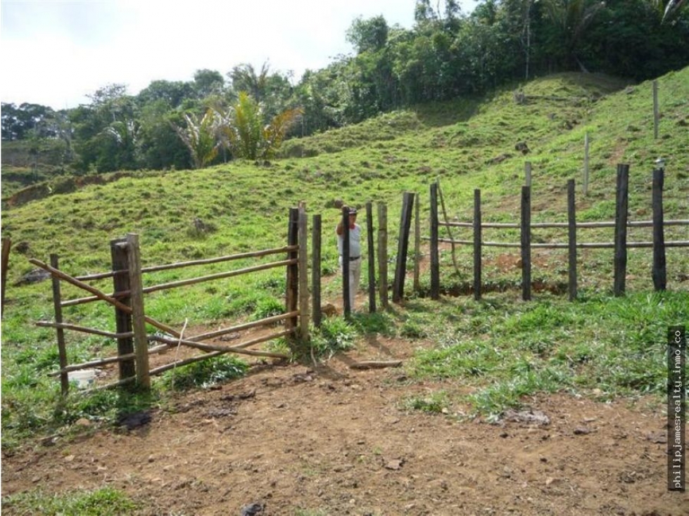 Venta: Finca de 525,000 m2 en Cerro Azul - 2