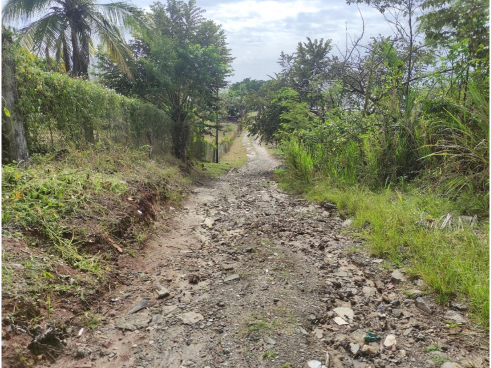 Venta de Terreno en Panamá Oeste, Nueva Gorgona — foto 2
