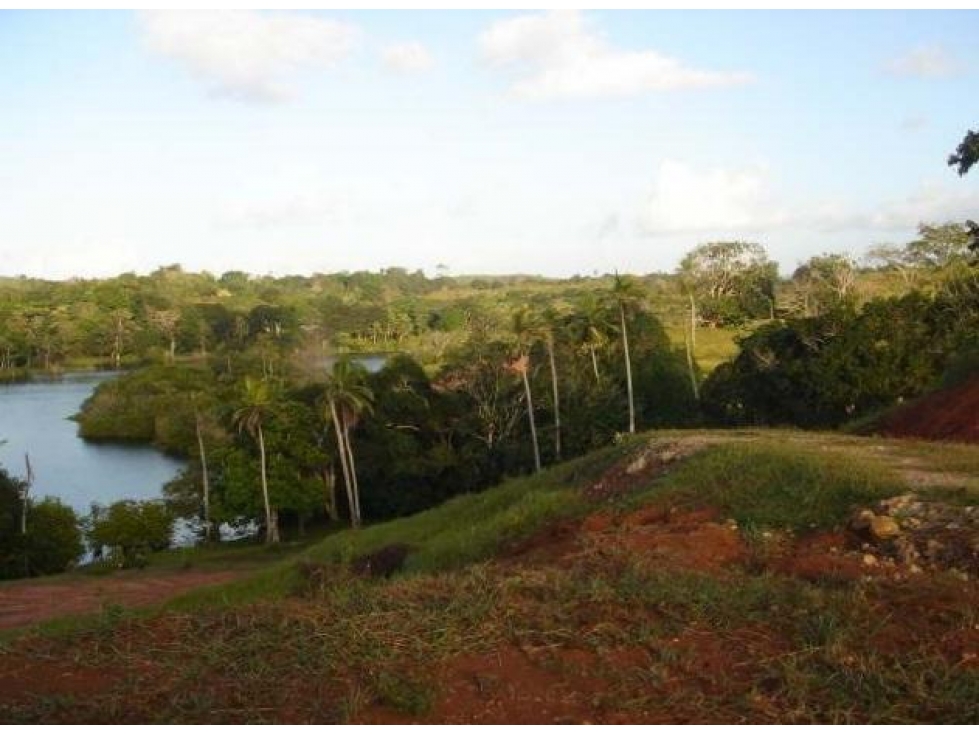 Venta: Finca de 100 Hectáreas frente al Lago Gatún - 4