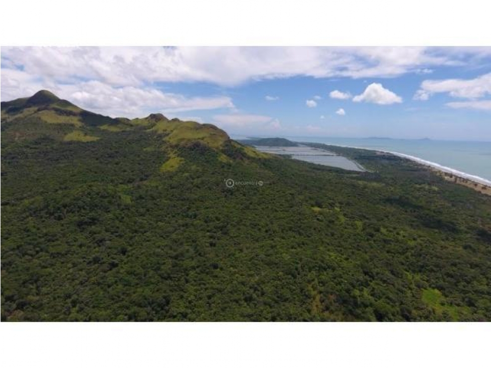 Venta 50.5 Hectáreas en Playa Caracol, Chame — foto 2