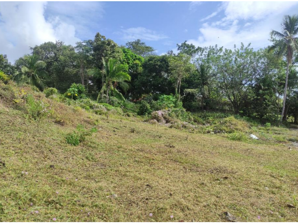 Venta de Terreno en Panamá Oeste, Nueva Gorgona — foto 4
