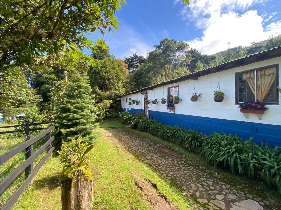 ESPECTACULAR CASA FINCA MÁS DE 100 AÑOS SECTOR CHACALTAYA LAS PALMAS - 5