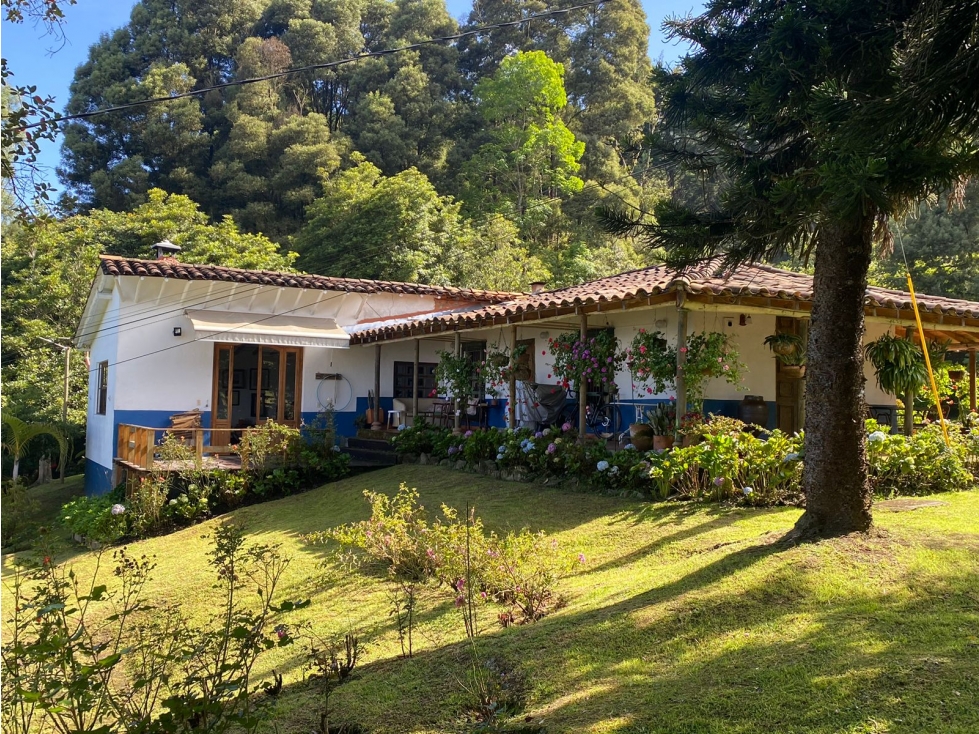 ESPECTACULAR CASA FINCA MÁS DE 100 AÑOS SECTOR CHACALTAYA LAS PALMAS - 4