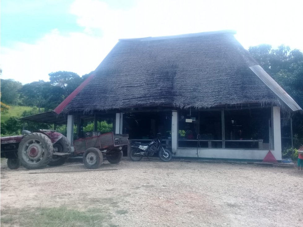 Finca para la venta en la vía Melgar-Carmen de Apicalá BAJO DE PRECIO - 4