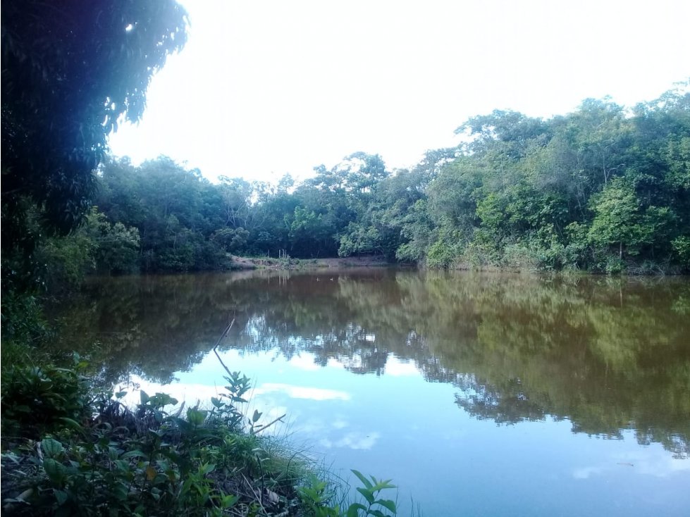 Finca para la venta en la vía Melgar-Carmen de Apicalá BAJO DE PRECIO - 6