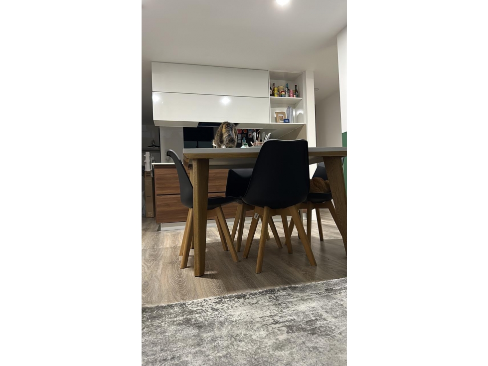 Apartamento en VENTA en CONTADOR — foto 4