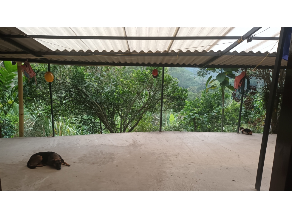 FINCA EN VENTA SILVANIA - 4