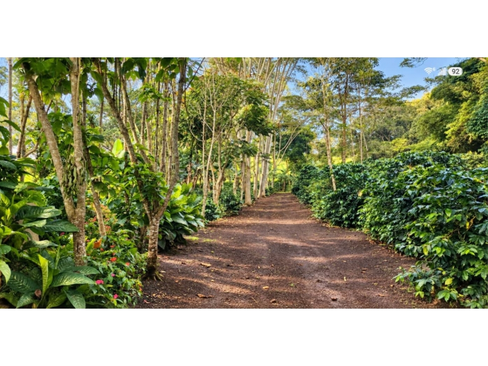 EXCLUSIVA FINCA CAMPESTRE MESA DE LOS SANTOS, SANTANDER - 6