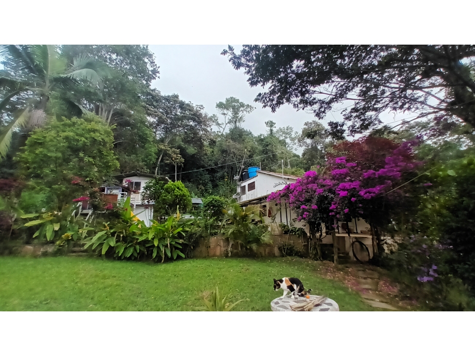 FINCA EN VENTA SILVANIA - 1