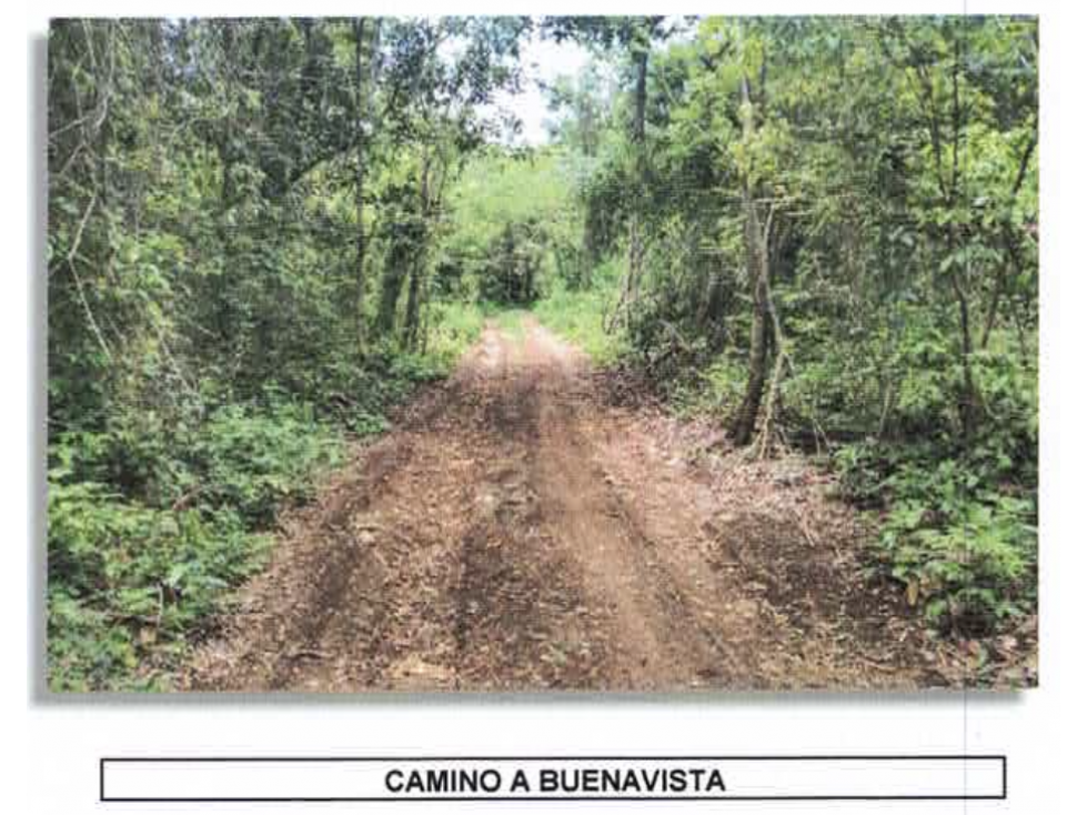 Lote 22 Buenavista - 2