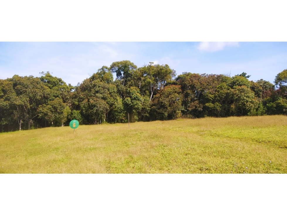 "OPORTUNIDAD" LOTE CAMPESTRE EN VENTA EN LA CEJA