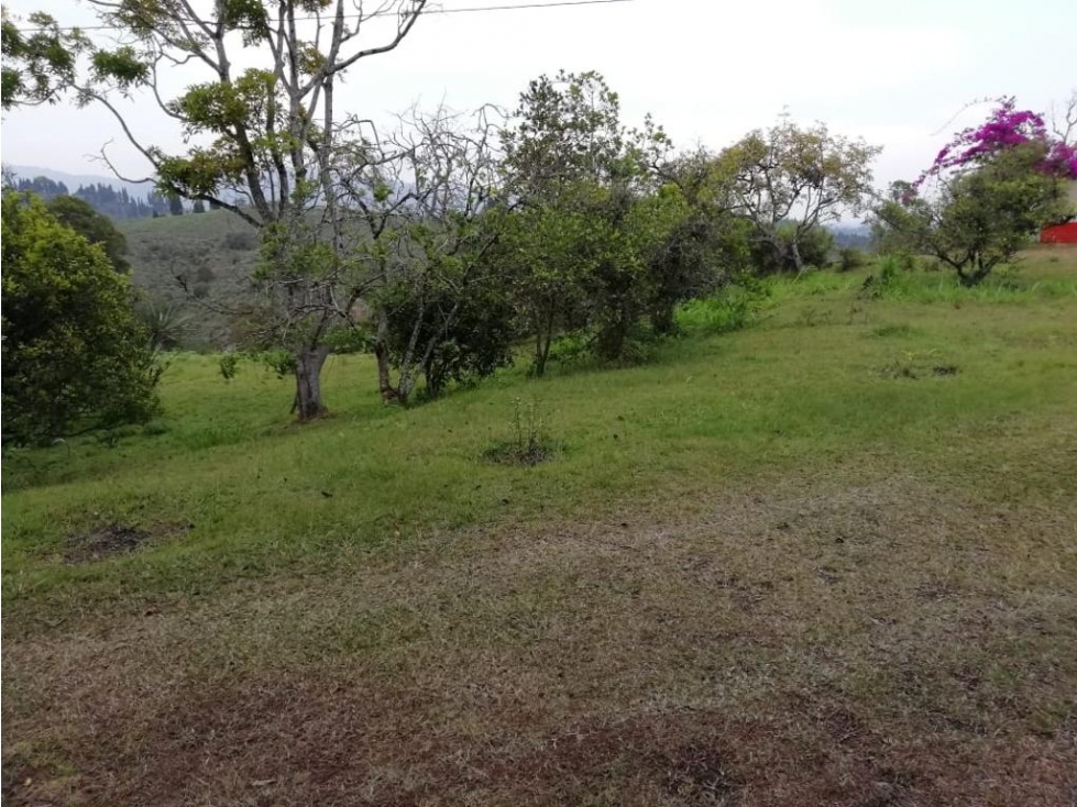 VENDO LOTE PARA PARCELAR EN VEREDA HOJAS ANCHAS DE GUARNE ANTIOQUIA