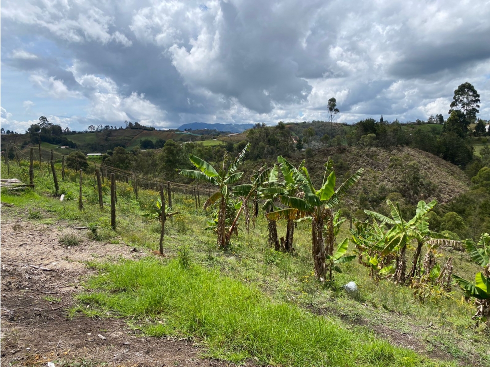 LOTE EN GIRARDOTA VDA EL YARUMO PARA AGRICULTURA O TURISMO - 4