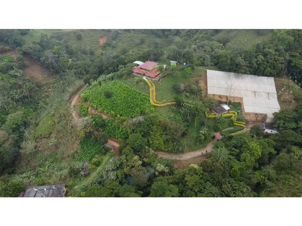 SE VENDE FINCA EN YOLOMBÓ - 3