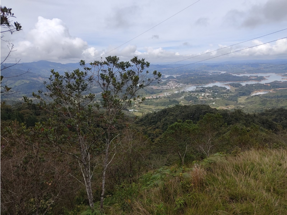 VENDO LOTE EN GUATAPE PARA PROYECTO HOTELERO O CASAS CAMPESTRES