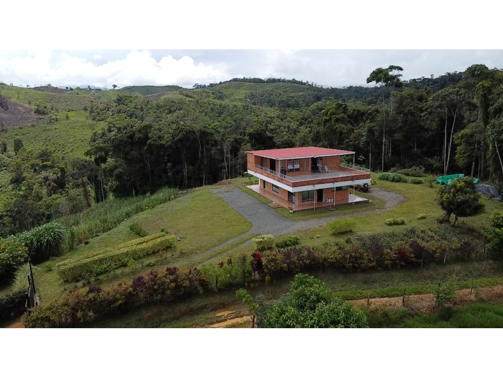 SE VENDE FINCA EN YOLOMBO - 1