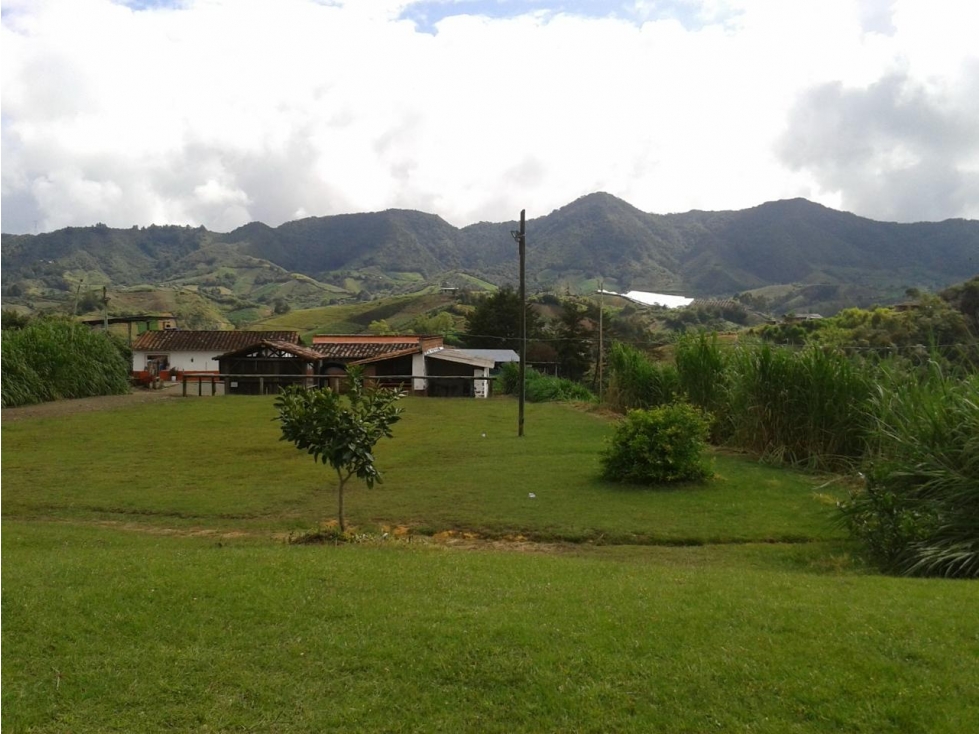 VENDO FINCA MARINILLA ANTIOQUIA 8HA SEMBRADOS DE AGUACATE