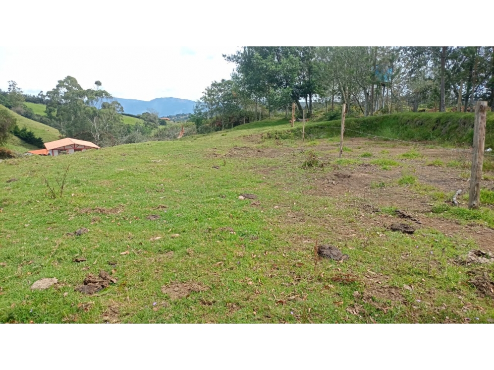 VENDO LOTE EN GUARNE VEREDA LA MEJIA