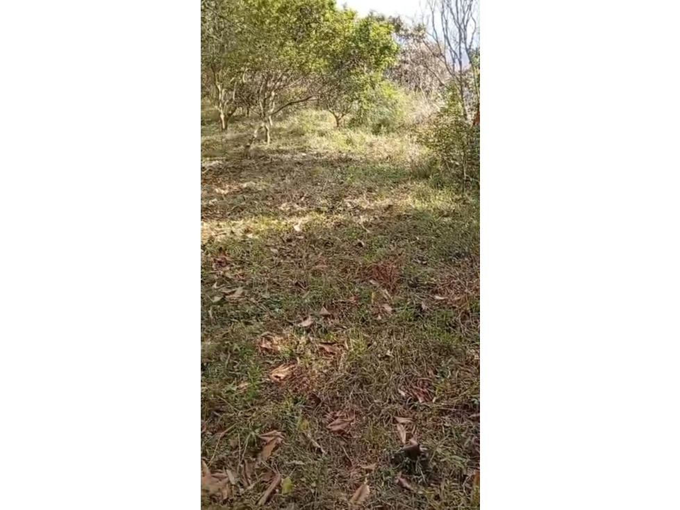 7 LOTES EN VENTA EN COPACABANA ANTIOQUIA