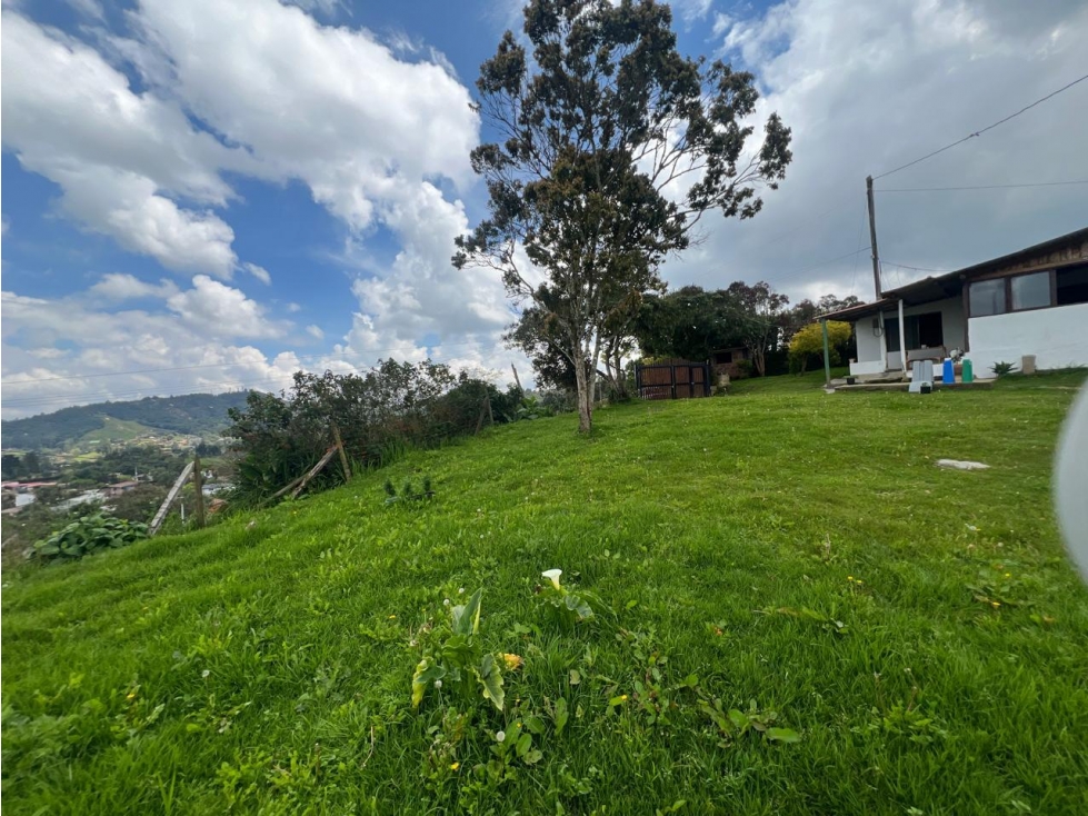VENTA DE FINCA EN SANTA ELENA - ANTIOQUIA — foto 2
