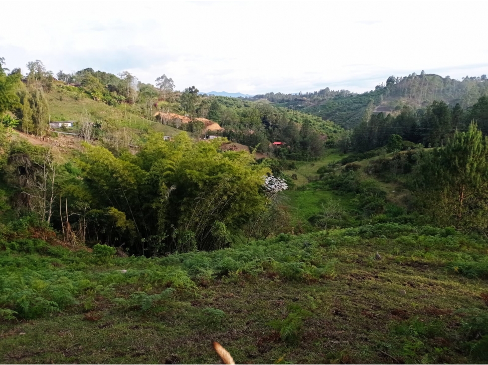 LOTE EN VENTA VEREDA ALTO DE LA COMPAÑÍA, SAN VICENTE FERRER.
