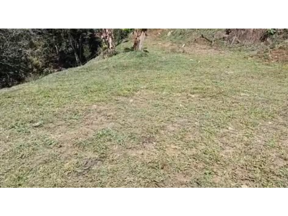LOTE EN BARBOSA, SECTOR MOLINO VIEJO — foto 4