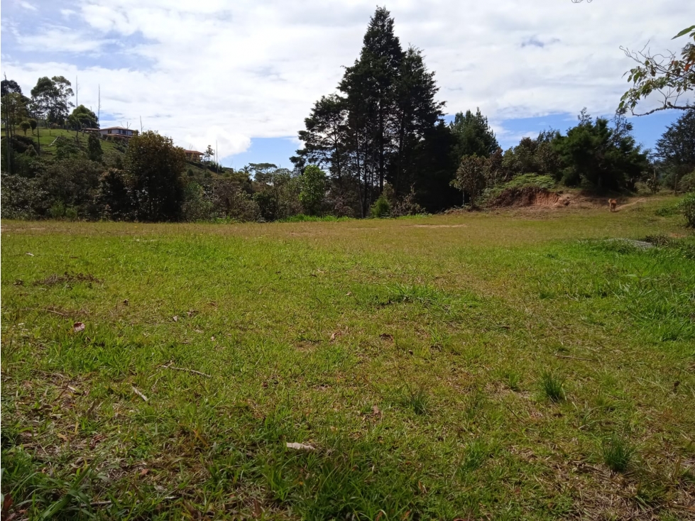VENDO LOTE EN GUARNE
