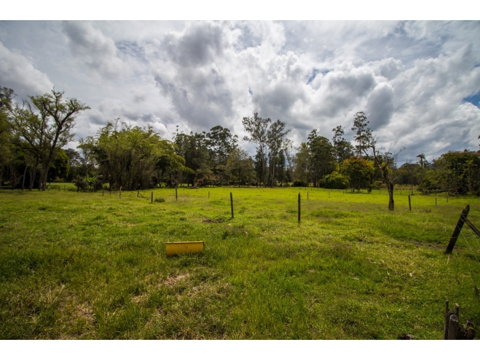 GRAN LOTE CAMPESTRE DE 9.457,98 M² EN LLANOGRANDE RIONEGRO — foto 2